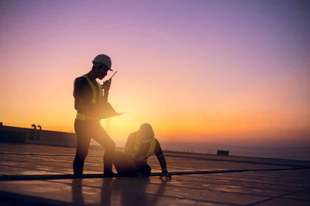 Best Roof Gutter Cleaning  in Las Flores, CA